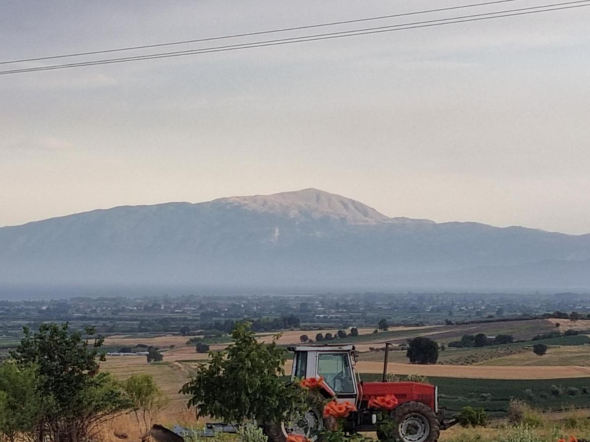 Hotel Villa Sevasti Kateríni Dış mekan fotoğraf