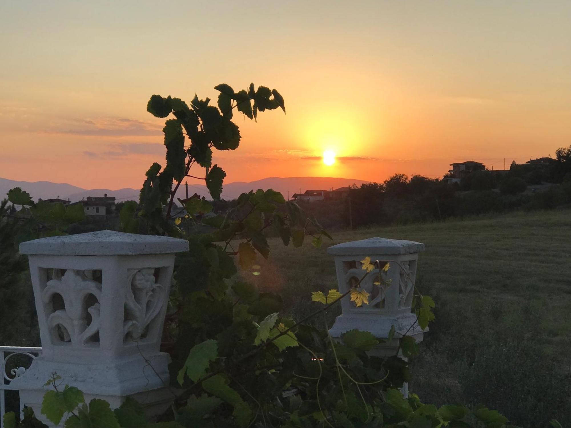 Hotel Villa Sevasti Kateríni Dış mekan fotoğraf